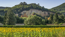 Rustel Colorado, Ocker, Sonnenblumen, Luberon, Provence  von travelstock44