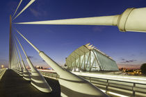  Puente de l'Assut de l'Or,  Wissenschaftsstadt von Santiago Calatrava in Valencia by travelstock44