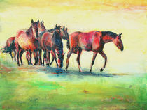 Pferde auf den Elbwiesen by Renée König