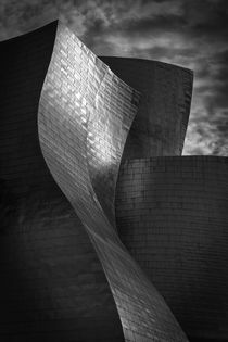 Museo Guggenheim Bilbao von architecturejournalist