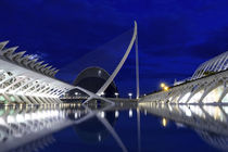 Valencia, Spain - scenic view of the City of Arts and Sciences and Oceanographic at night by Tania Lerro