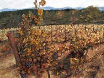 Vineyard Lucchesi  von Randy Sprout