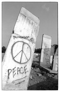 Abbau der Berliner Mauer 1991 by Dieter E. Hoppe