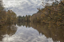 Autumn Lake Reflections by David Tinsley