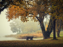'Herbstliche Ruhe am See' von Christine Horn