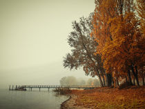 Herbst auf der Halbinsel Höri - Bodensee von Christine Horn
