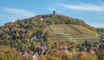 Turmberg im Herbst von Stephan Gehrlein