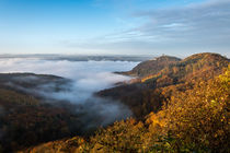 Nebel im Rheintal by Frank Landsberg