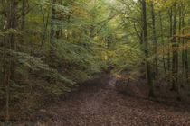 Autumn on Bradley Hill  by David Tinsley