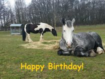 Happy Birthday von der Pferdeweide von Andrea Köhler