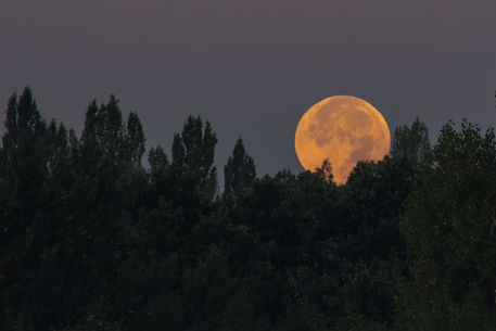 Monduntergang-nach-der-mondfinsternis-2015