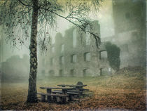 'Festungsruine Hohentwiel im Nebel' von Christine Horn
