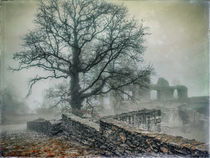 'Festungsruine Hohentwiel im Nebel II' von Christine Horn