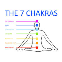 The 7 chakras by Shawlin I