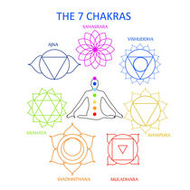 The seven chakras of the human body with their names	 by Shawlin I