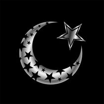 The Islamic star  by Shawlin I