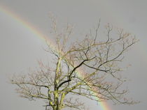 Regenbogen by maja-310