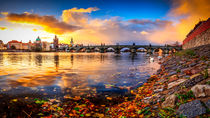 Charles Bridge in Prague at Early Morning, Czech Republic by Zoltan Duray