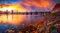 Charles Bridge in Prague at Early Morning, Czech Republic von Zoltan Duray