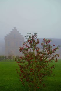 Herbststimmung mit Nebel von Bernhard Kaiser