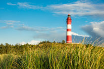 Leuchtturm auf der Insel Amrum von Rico Ködder