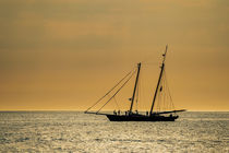 Segelschiff im Abendlicht auf der Ostsee von Rico Ködder