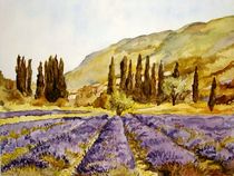 La Provence by Stephanie Koehl