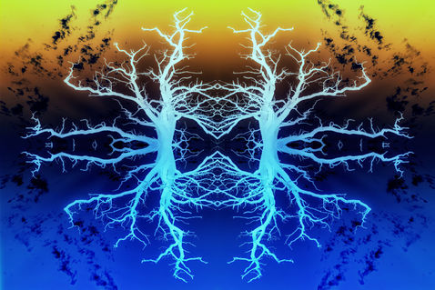 Forests-spirits-in-technicolour-l25