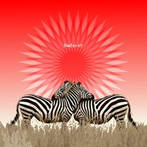 Zebras by zelko radic