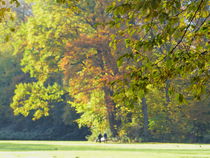 Herbst im Park-2 by maja-310