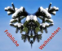 Weihnachtspostkarte Tannenzweige im Winter by kattobello