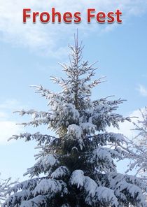 Weihnachtspostkarte Nadelbaum im Winter von kattobello