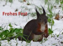 Weihnachtspostkarte Eichhörnchen im Schnee 2 von kattobello