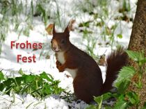 Weihnachtspostkarte Eichhörnchen im Schnee 1 by kattobello