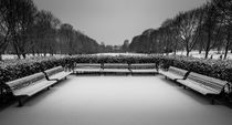 Benches in snowy park by Nuno Borges