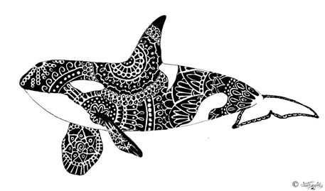 Curious-orca-with-logo