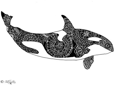 Flying-orca-with-logo