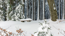 Wintermomente im Harz von Andreas Levi