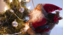 Christmas Santa on a tree by Tomas Gregor