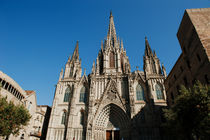 Barcelona cathedral, Spain von Tania Lerro