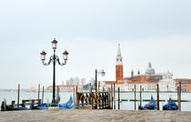 Venice, Italy by Tania Lerro