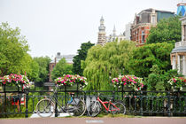 Amsterdam, Holland by Tania Lerro