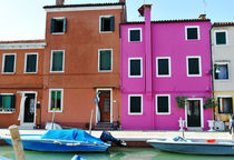 Burano island, Venice, Italy von Tania Lerro