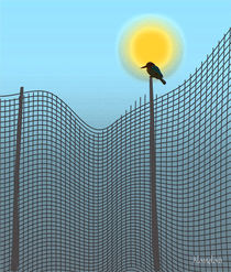 Bird on mesh by Nandan Nagwekar