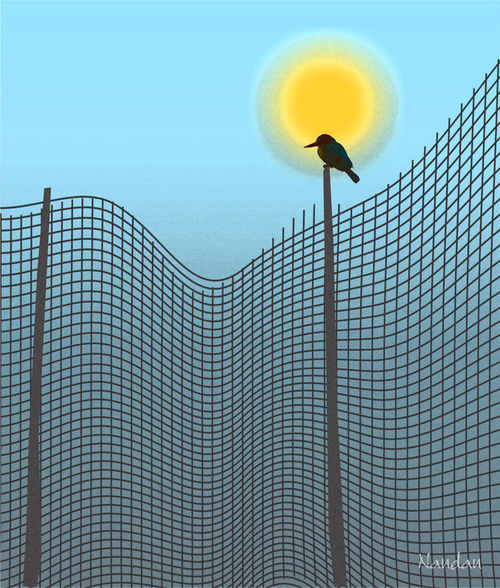 Bird-on-mesh