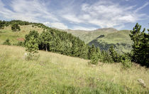 Somewhere in the Catalan Pyrenees by Marc Garrido Clotet