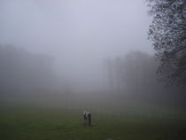 Allein im Nebel der Zeit by Andrea Köhler
