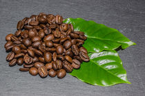 Kaffeebohnen mit Kaffeeblätter von Mathias Karner