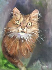 Katze by Dorothea "Elia" Piper