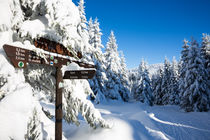 Winterweg im Oberharz von Andreas Levi